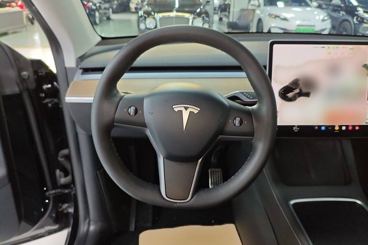 Used Tesla Model Y 2021 Standard Range Rear-Wheel Drive Version
