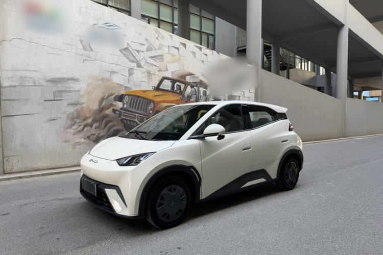 Used BYD Seagull 2023 Active Version
