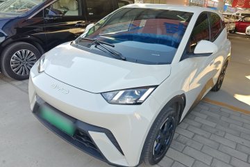 Used BYD Seagull 2023 Flying Edition