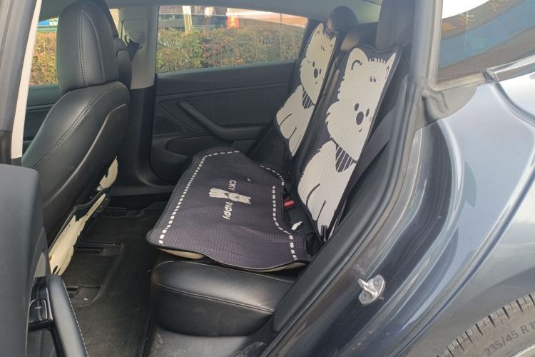 Used Tesla Model 3 (Import) 2019 Long-Range All-Wheel-Drive Version