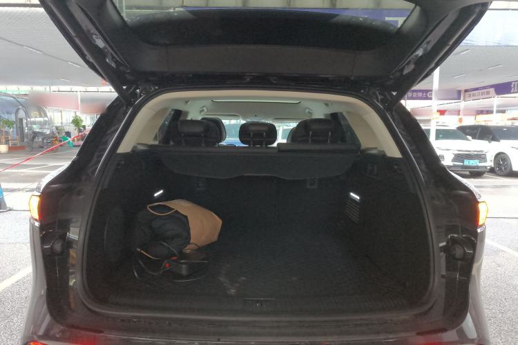 Used VOYAH FREE 2021 Four-Wheel Drive Standard Range-Extended Exclusive Luxury Package
