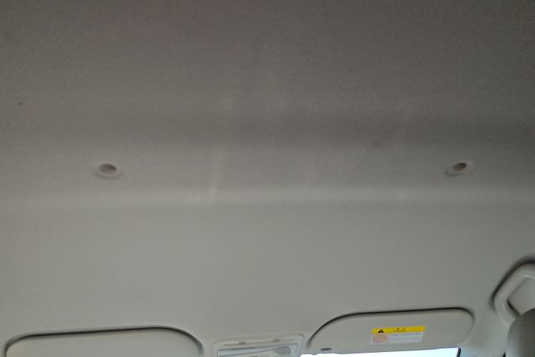 Used SOL E10X 2022 Flower Fairy Design Four-Leaf Clover