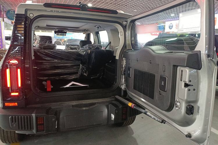 Used  Shanhai T2 2024 C-DM 129KM Linye Edition