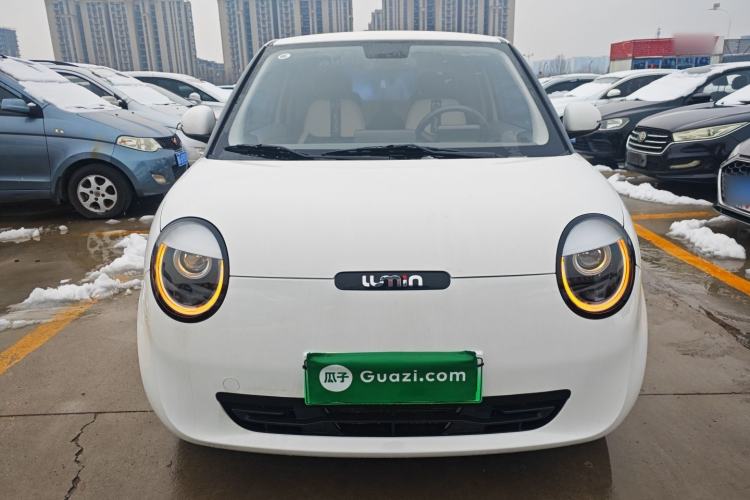 Used Qiyuan Lumin 2023 205km Xiangqin Version