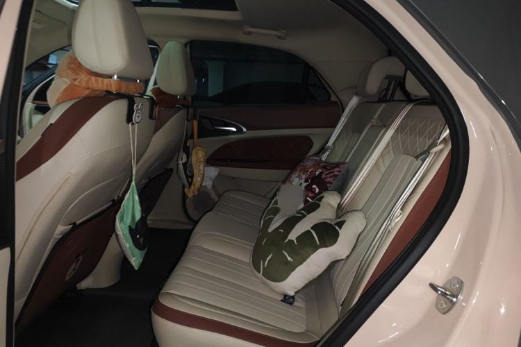 Used ORA Good Cat 2021 500km Long-Range Poseidon Edition Lithium-Ion Battery
