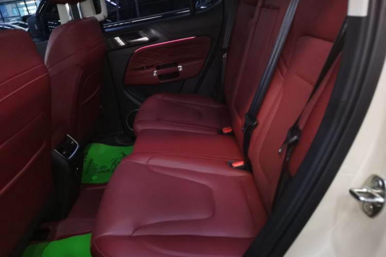 Used Tank 300 2025 2.0T Conqueror