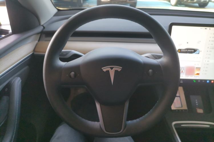 Used Tesla Model Y 2021 Standard Range Rear-Wheel Drive Version
