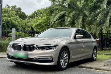 Used BMW 5 Series New Energy 2019 530Le Luxury Package
