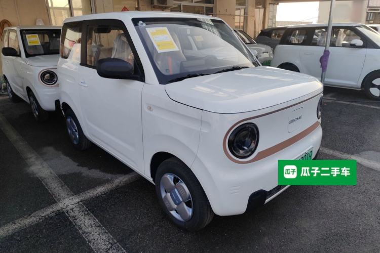 Used  Panda 2024 Panda Mini 200km Endurance Bear
