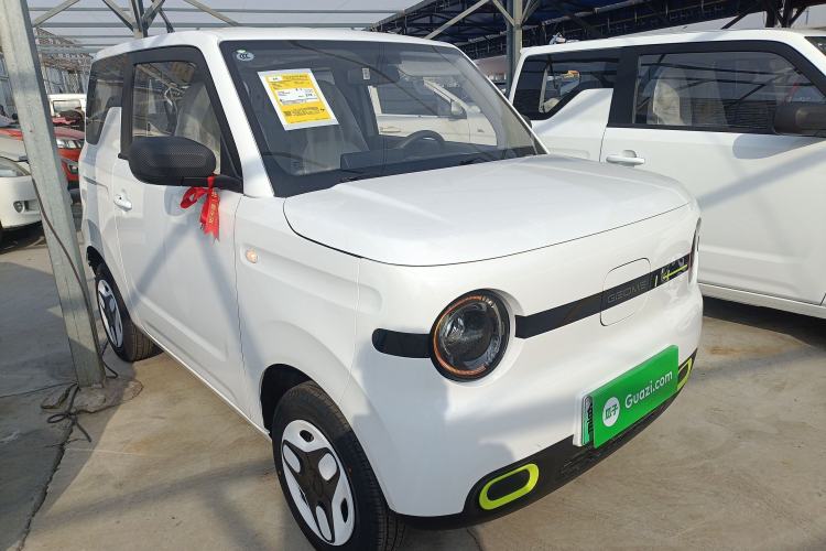 Used  Panda 2025 210 km – Yuanqi Bear