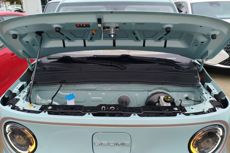 Used  Panda 2023 Panda Mini 200km Endurance Bear
