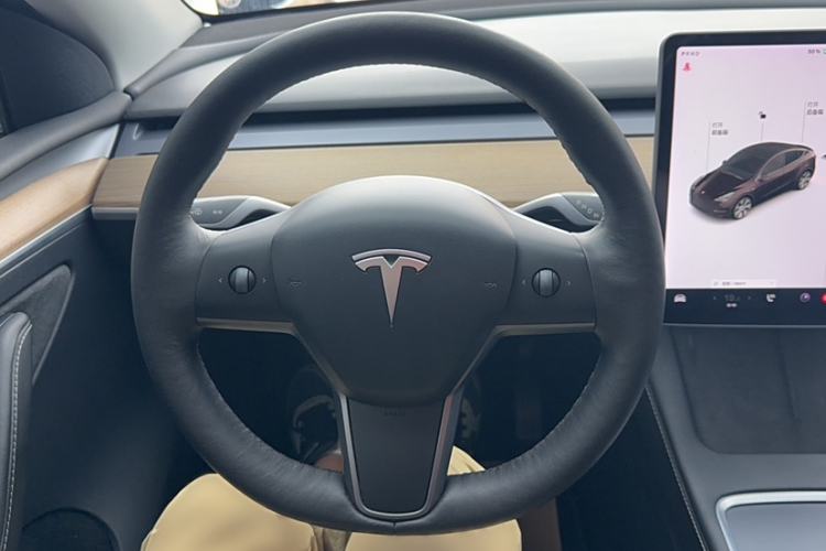 Used Tesla Model Y 2021 Standard Range Rear-Wheel Drive Version
