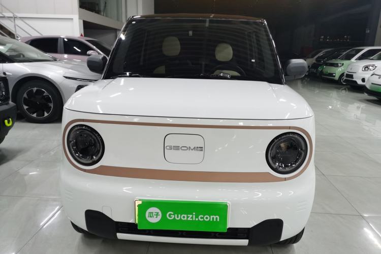 Used  Panda 2024 Panda Mini 200km Endurance Bear