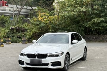 Used BMW 5 Series 2019 530Li Leading Model M Sport Package