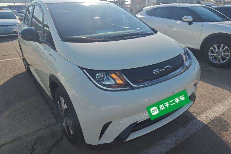 Used BYD Dolphin 2023 420 km Free Version
