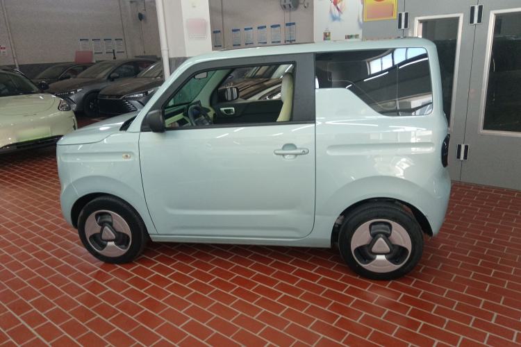 Used  Panda 2023 Panda Mini 200km Dynamic Bear
