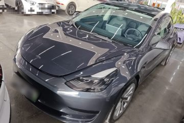 Used Tesla Model 3 2021 Revised Version Standard Range Rear-Wheel Drive Upgraded Edition 3D1