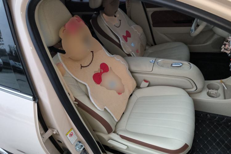 Used ORA Good Cat 2023 401 km Standard Range Luxury Version Lithium Iron Phosphate