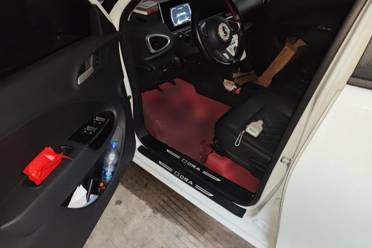 Used ORA White Cat 2020 401 km Flagship Version