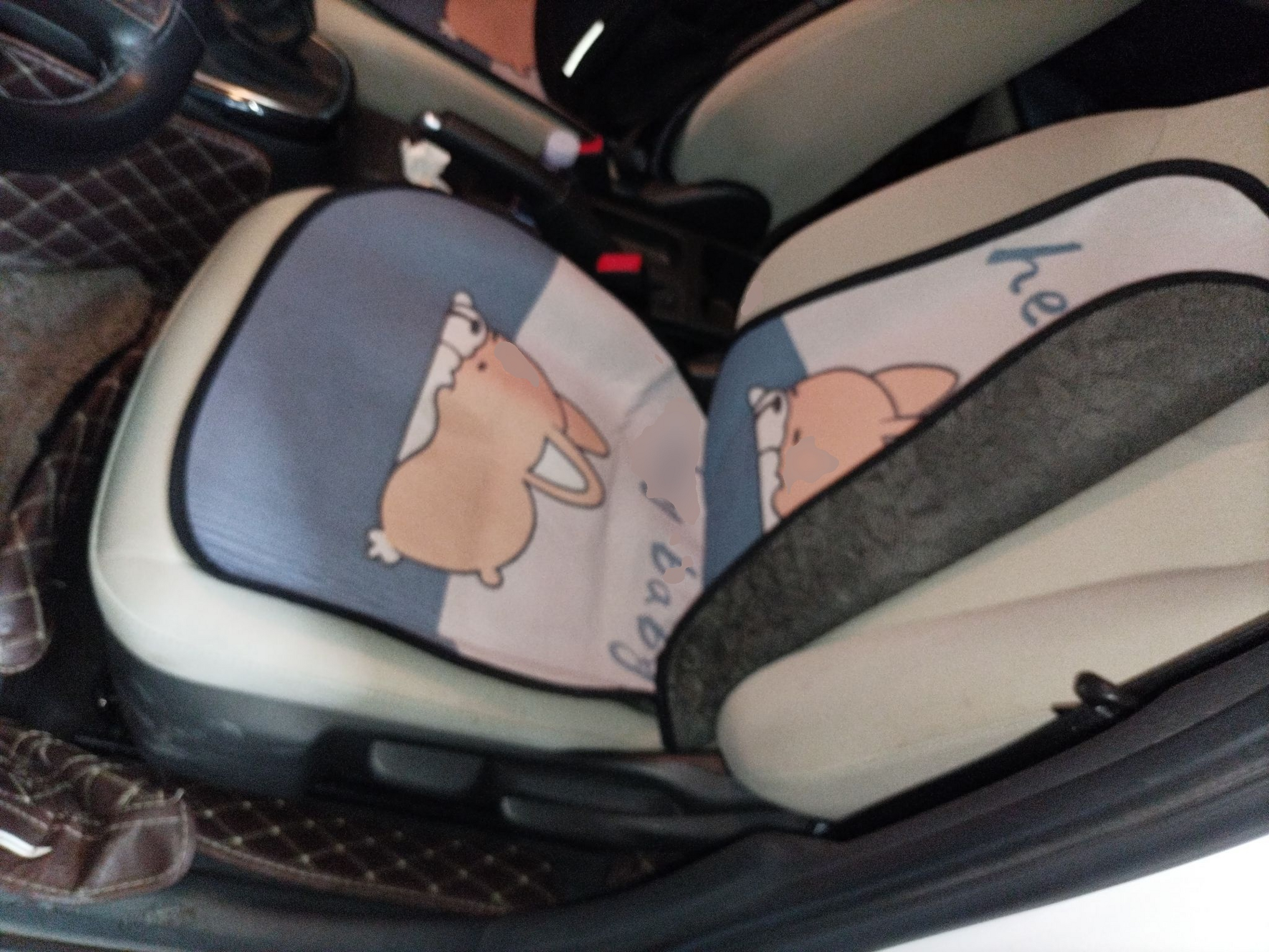 المقاعد الأمامية داخل السيارة