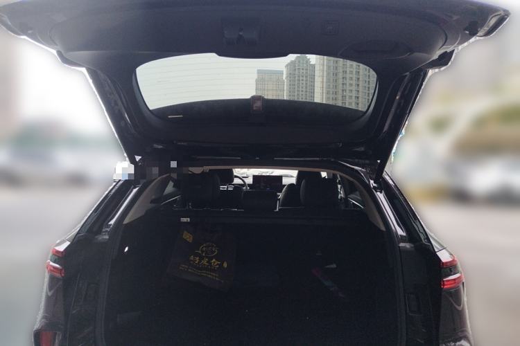 Used Wey Mocha New Energy 2023 Two-Wheel Drive Long-Range Version
