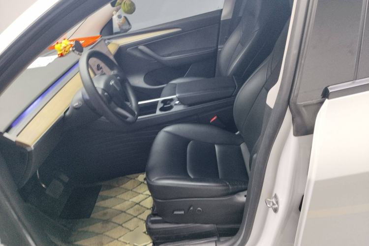 Used Tesla Model Y 2021 Standard Range Rear-Wheel Drive Version
