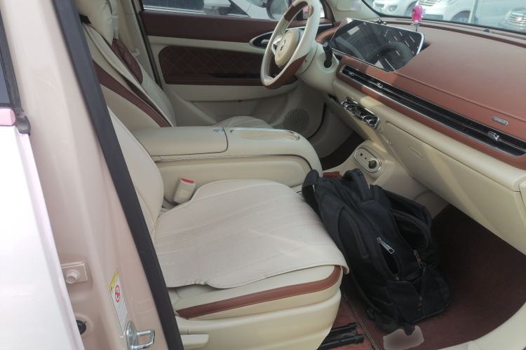 Used ORA Good Cat 2023 401 km Standard Range Luxury Version Lithium Iron Phosphate