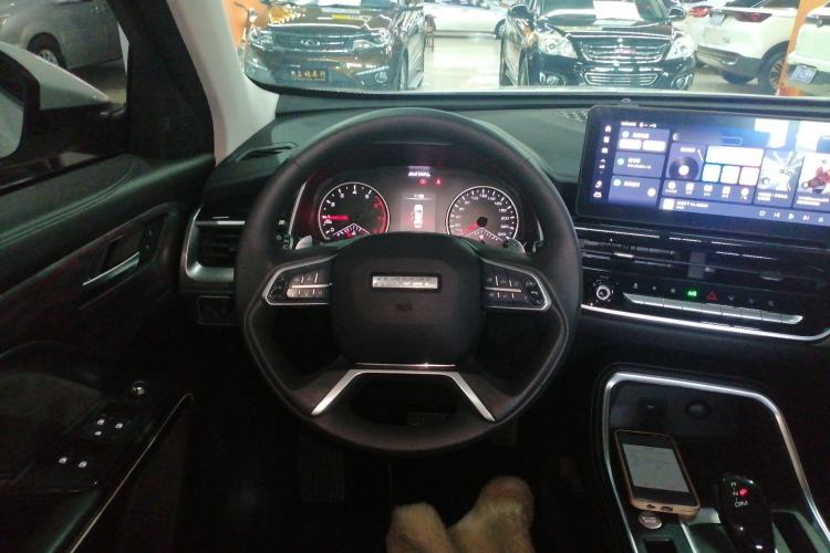 Used Haval H6 2023 National Trend Edition 1.5T Automatic Urban Version
