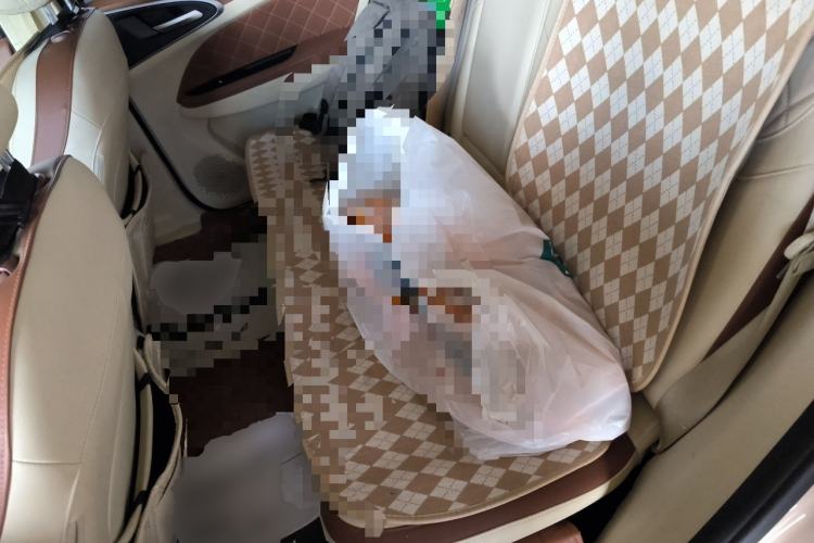 Used ORA Good Cat 2021 400km Standard Range Athena Edition Lithium Iron Phosphate