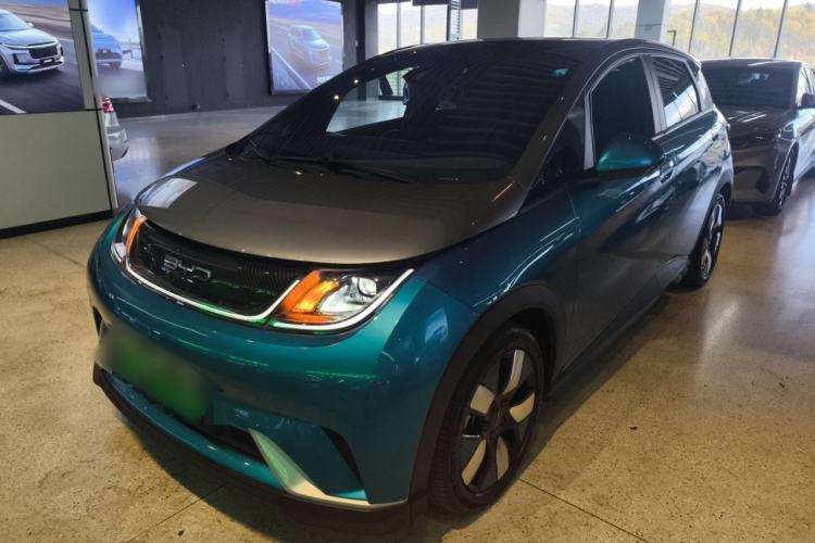 Used BYD Dolphin 2021 401km Knight Edition