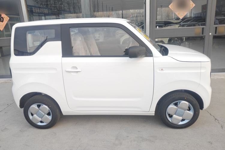 Used  Panda 2024 Panda Mini 200km Endurance Bear