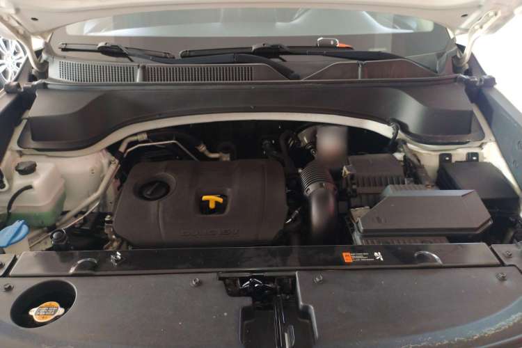 Used Kia Sportage R 2019 2.0L Automatic Smart Luxury Edition
