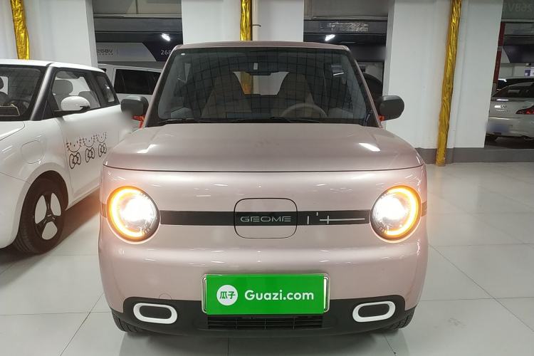 Used  Panda 2025 210 km – Yuanqi Bear
