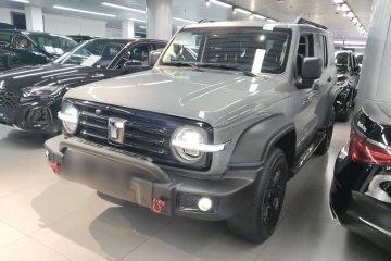 Used Tank 300 2024 2.0T Conqueror