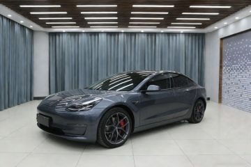 Used Tesla Model 3 2021 Performance High-Performance All-Wheel-Drive Version