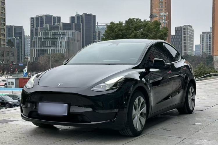 Used Tesla Model Y 2021 Long-Range All-Wheel-Drive Version 3D7