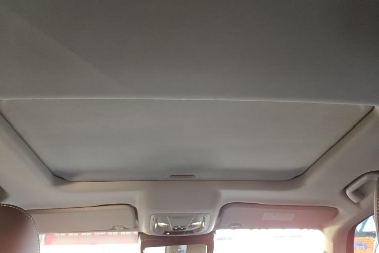 Used Tank 300 2024 2.0T Conqueror
