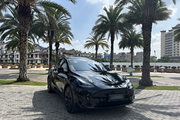 Used Tesla Model Y 2023 Rear-Wheel-Drive Version
