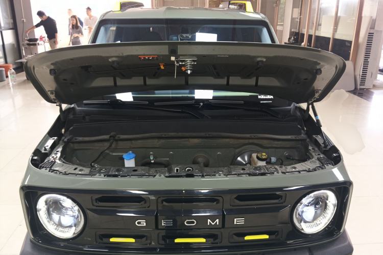 Used  Panda 2024 200km Panda Rider