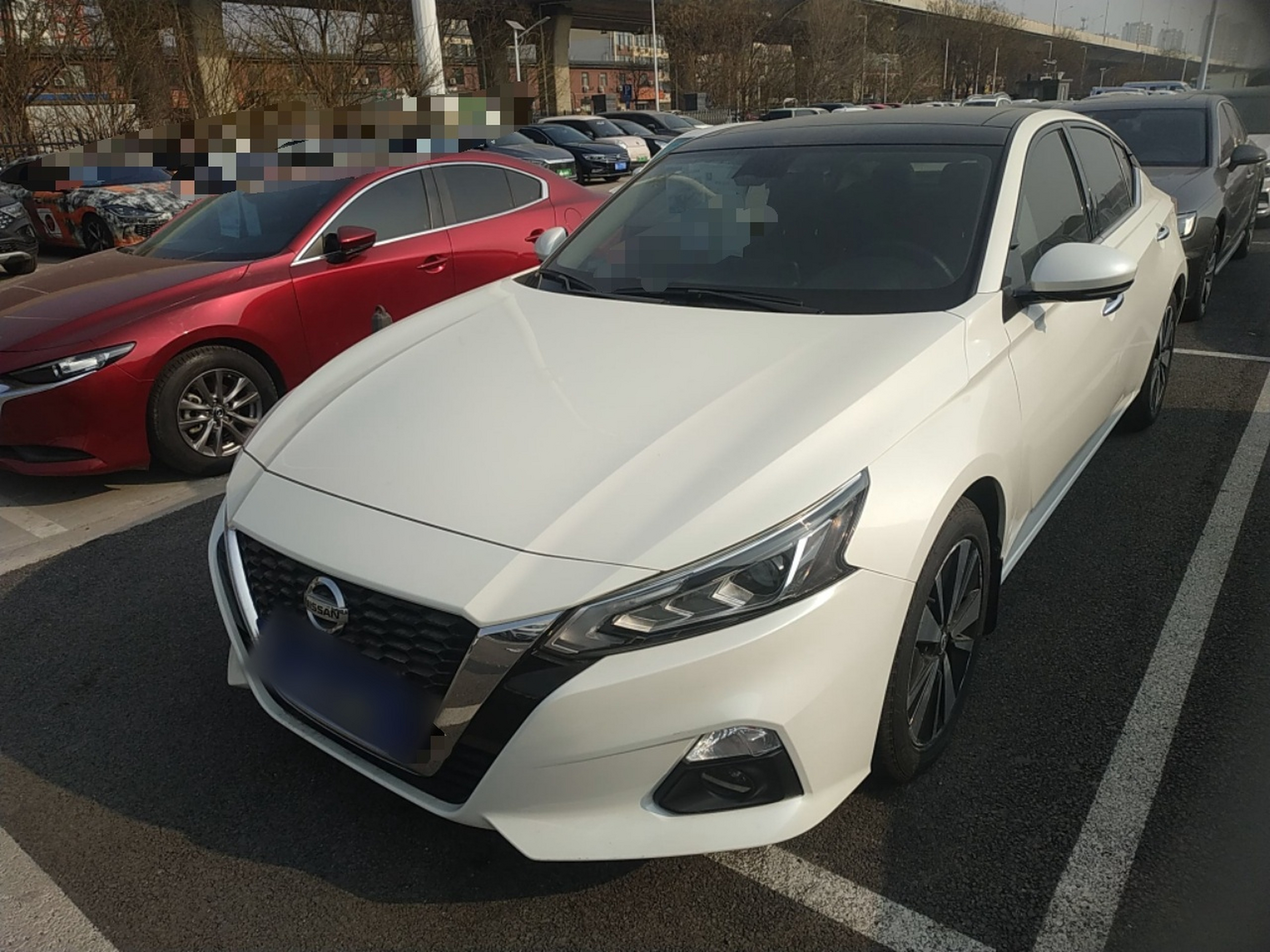 تحت مقدمة السيارة