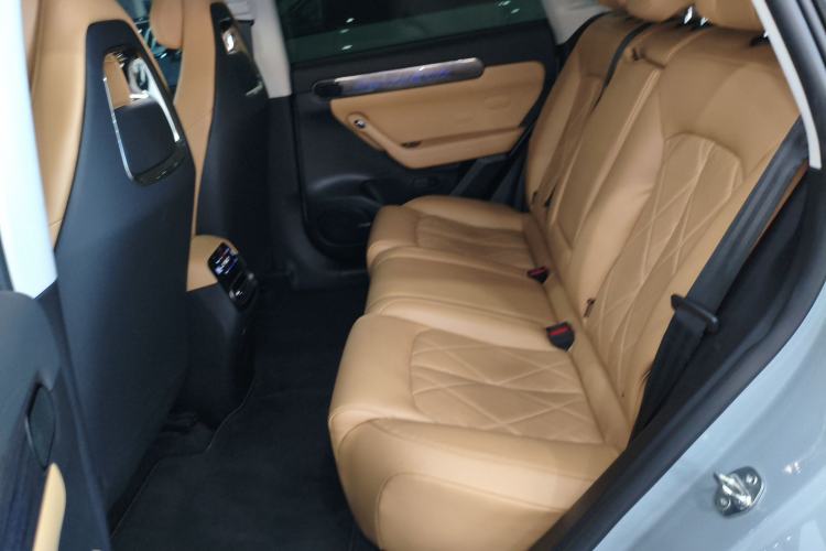 Used Leapmotor C11 2024 Range-Extended 300 Luxury Edition
