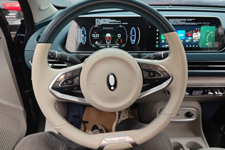 Used ORA Good Cat 2023 401 km Standard Range Luxury Version Lithium Iron Phosphate