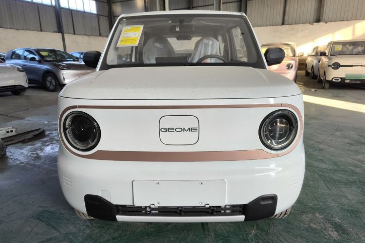 Used  Panda 2024 Panda Mini 200km Endurance Bear
