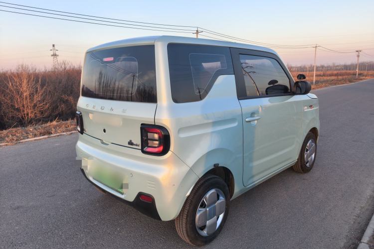 Used  Panda 2024 Panda Mini 200km Endurance Bear
