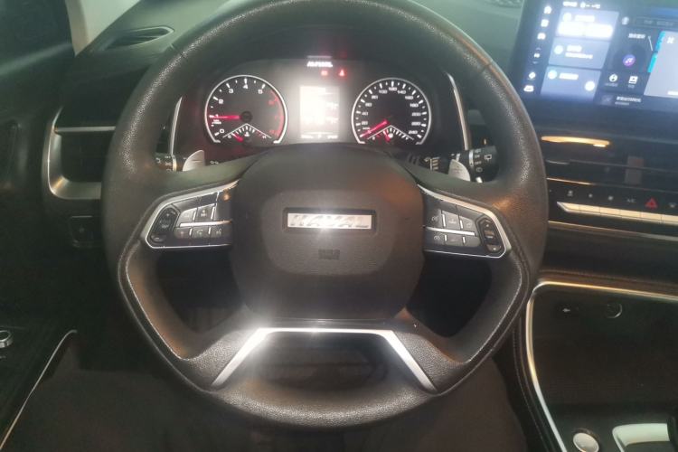 Used Haval H6 2023 National Trend Edition 1.5T Automatic Urban Version
