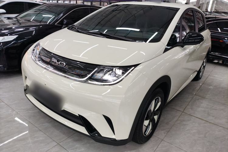 Used BYD Dolphin 2025 420km Free Edition
