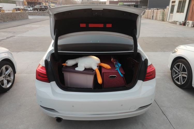 Used BMW 3 Series 2018 318Li