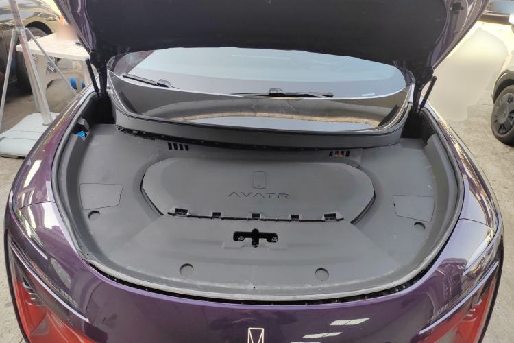 Used  07 2024 Max Extended-Range Edition
