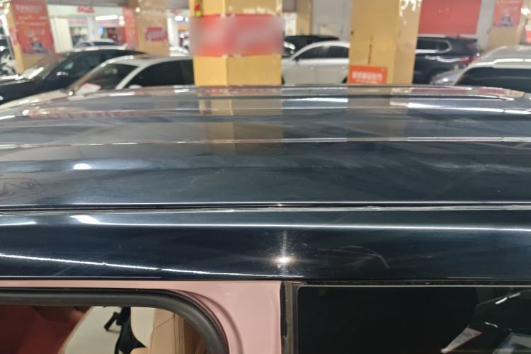 Used  Panda 2023 Panda Mini 200km Endurance Bear