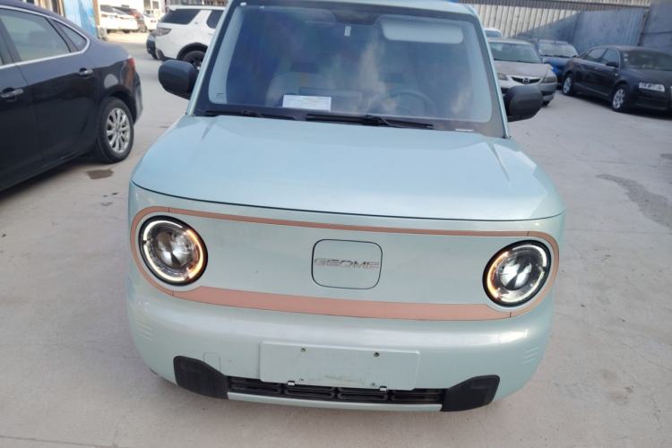 Used  Panda 2024 Panda Mini 200km Endurance Bear
